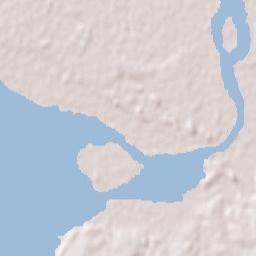 Santiago Vázquez Terrain Map