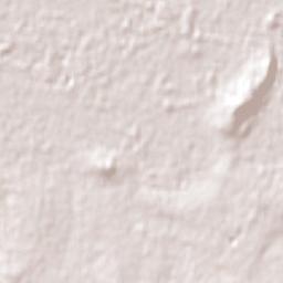 Forest Hill Terrain Map