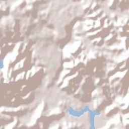 Whangarei Terrain Map