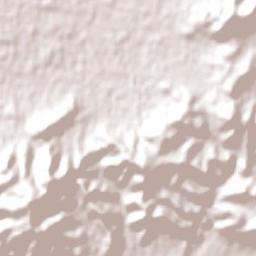 Springdale Heights Terrain Map