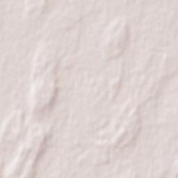 Victorica Terrain Map