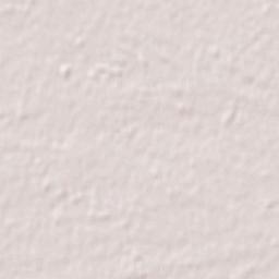 San Carlos Terrain Map