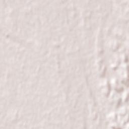 Coihueco Terrain Map