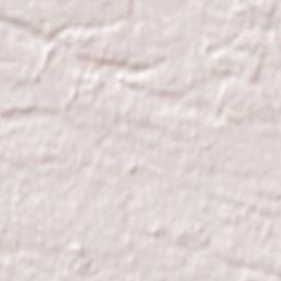 San Ignacio Terrain Map