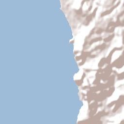 Muriwai Beach Terrain Map