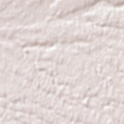 El Carmen Terrain Map