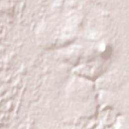 Carisbrook Terrain Map