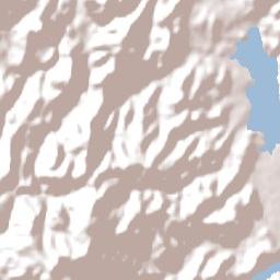 Whangamata Terrain Map