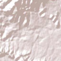 Waihi Terrain Map