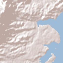 Katikati Terrain Map