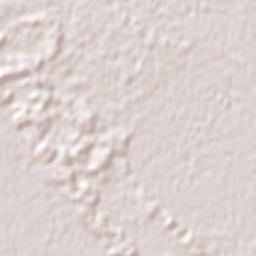 Millicent Terrain Map