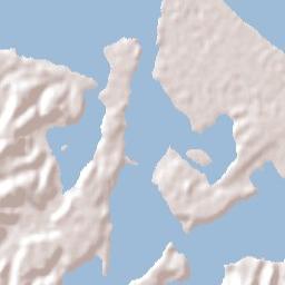 Tauranga Terrain Map