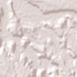 Mulchén Terrain Map