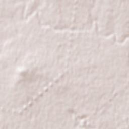 Burnside Heights Terrain Map