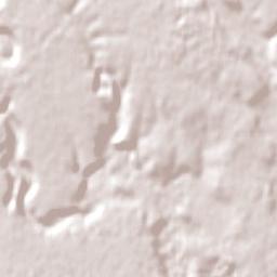 Ascot Vale Terrain Map