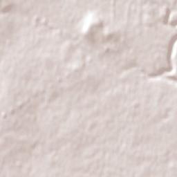 Eynesbury Terrain Map