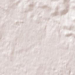 Carnegie Terrain Map