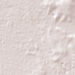 Hampton Park Terrain Map