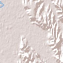 Opotiki Terrain Map