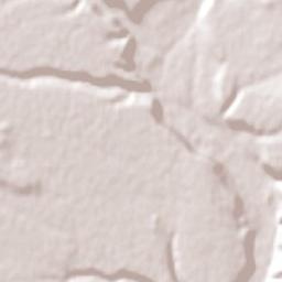 Loncopué Terrain Map