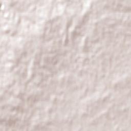 Botanic Ridge Terrain Map