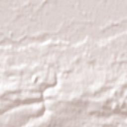 Longford Terrain Map