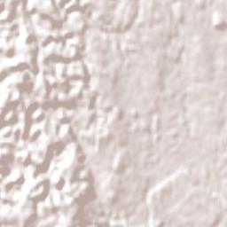 Tokoroa Terrain Map