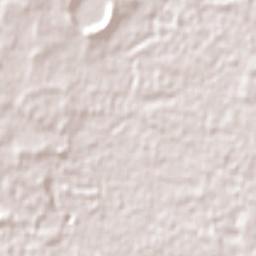 Allansford Terrain Map