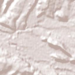 Curacautín Terrain Map