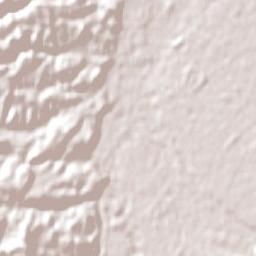 Murupara Terrain Map