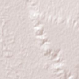 Cinco Saltos Terrain Map
