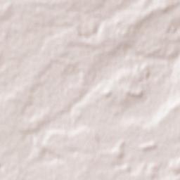 Zapala Terrain Map