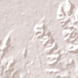 Turangi Terrain Map