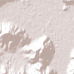 Paillaco Terrain Map