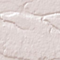 Río Bueno Terrain Map