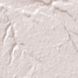 San Pablo Terrain Map