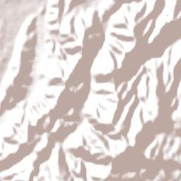 Paraparaumu Terrain Map