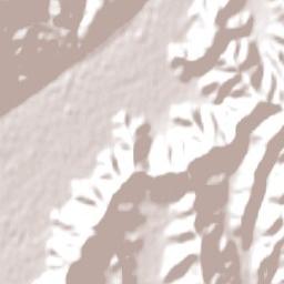 Lower Hutt Terrain Map