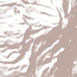 Llanquihue Terrain Map