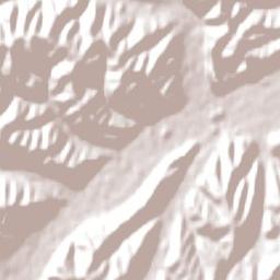 Wakefield Terrain Map