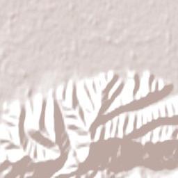 Blenheim Terrain Map