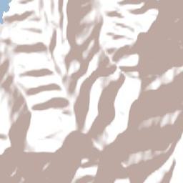 Christchurch City Terrain Map