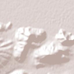 Gobernador Costa Terrain Map