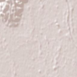 Geraldine Terrain Map