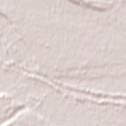 Pleasant Point Terrain Map