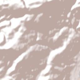Dunedin Terrain Map