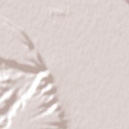 Gobernador Gregores Terrain Map