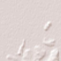 Primavera Terrain Map