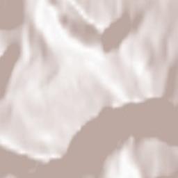 Anchorage Municipality Terrain Map