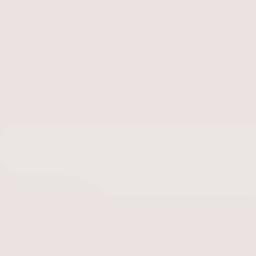 Lipin Bor Terrain Map